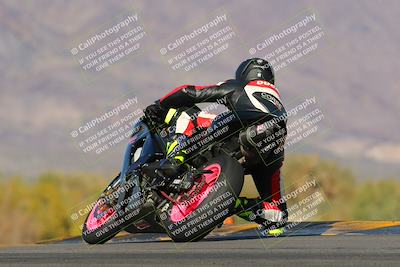 media/Feb-04-2023-SoCal Trackdays (Sat) [[8a776bf2c3]]/Turn 9 Backside (145pm)/